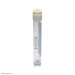 ClearLine Cryogen Tube 5mL Self Standing External Stella Cap Graduated with Barcode Sterile