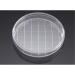 Corning BioCoat Collagen I 150mm TC-Treated  Culture Dish, 151.9cm2 Cell Growth Area