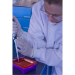 Lonza FlashGel Loading dye