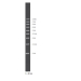 Lonza DNA Marker 1-10kb for 100 Applications - 2x250uL
