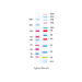 Lonza ProSieve Color Protein Marker 10-190 kDa - 100uL