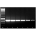 Meridian Bioscience ISOLATE II Plant DNA Kit - 10 Preps
