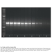 Meridian Bioscience Tetro Reverse Transcriptase - 10000 Units