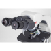 Motic BA310 LED Phase Microscope Binocular