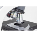 Motic BA310 LED Phase Microscope Trinocular