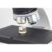 Motic Panthera TEC MAT BD (6x4) Microscope
