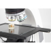 Motic Panthera TEC MAT BD-T (6x4) Microscope