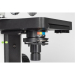 Motic Stellar 1-B Binocular  Microscope 4X 10X 40X 100X S-Oil
