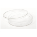 Nunc Sterile Petri Dish 90mm x 15mm (Diam x H)  with Vents