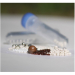 Prefilled 2.0ml tubes Zirconium Beads 1.5mm Triple Pure - High Impact